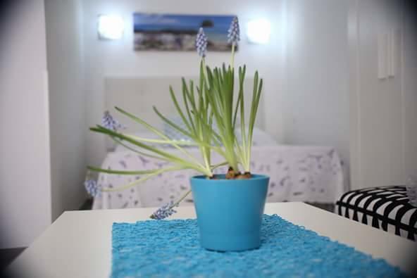 You & Me House Ceglie Messapica Buitenkant foto